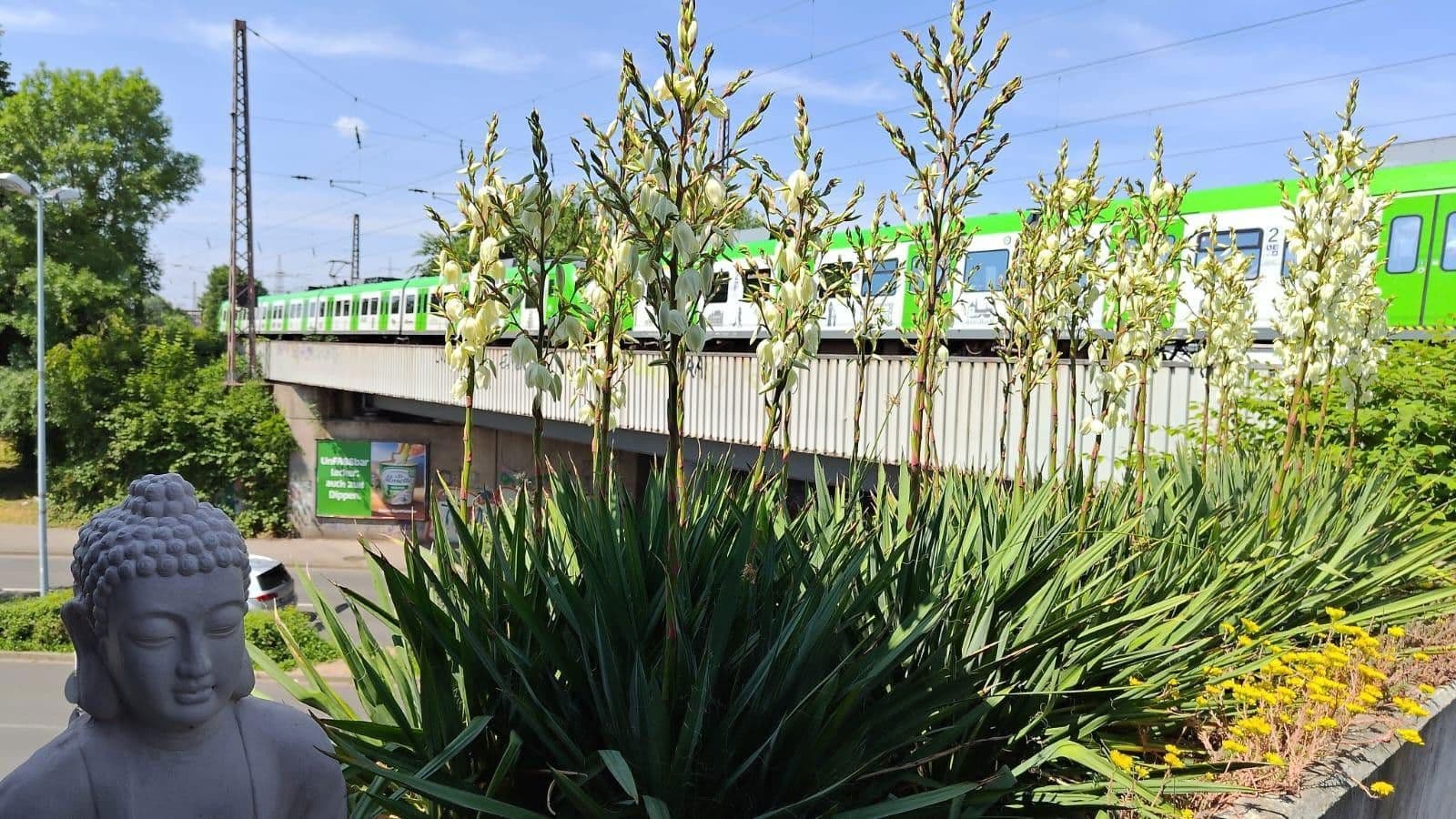 Pronájem nebytového prostoru 640 m², Mülheim an der Ruhr, Severní Porýní-Vestfálsko Pronájem nebytového prostoru 640 m², Mülheim an der Ruhr, Severní Porýní-Vestfálsko