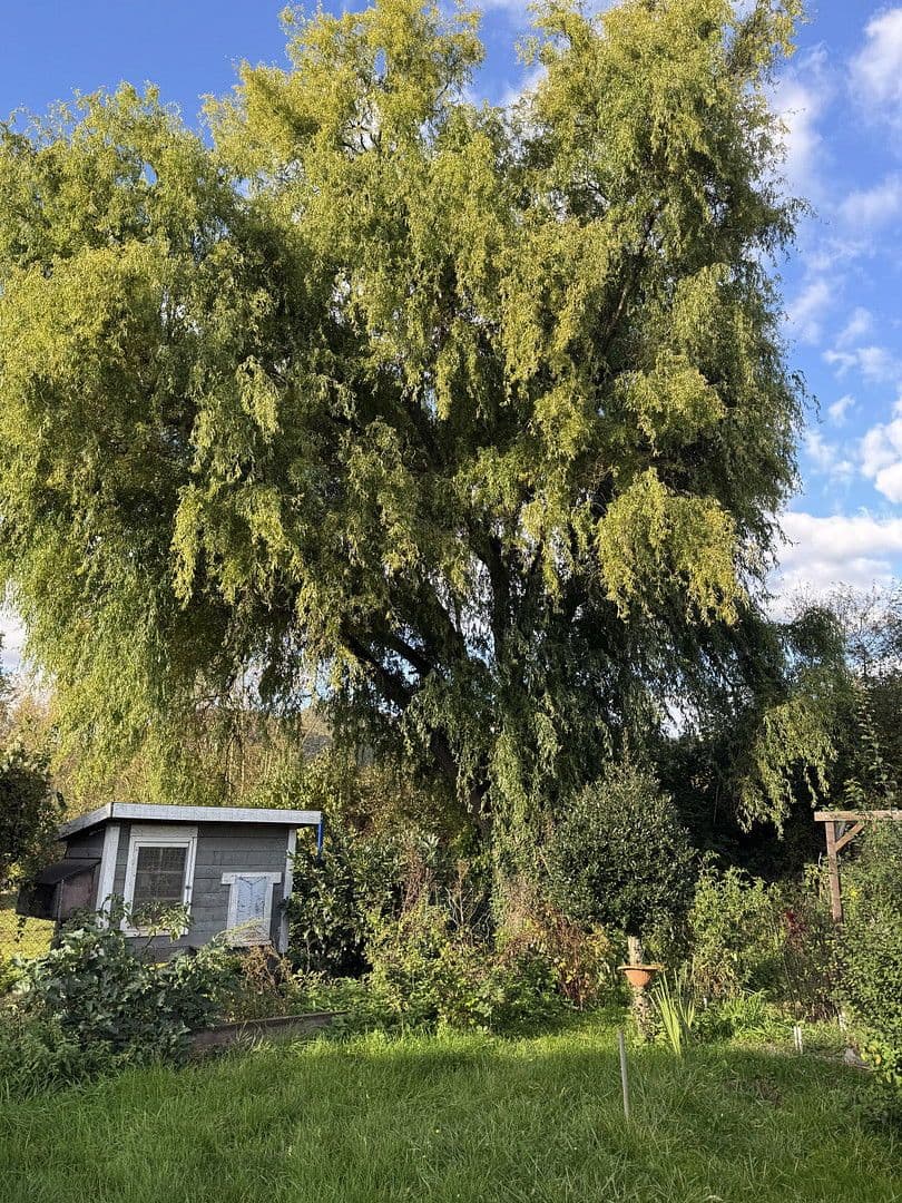 Pronájem domu 195 m², pozemek 350 m², Weinstrasse 181, Albersweiler, Porýní-Falc Pronájem domu 195 m², pozemek 350 m², Weinstrasse 181, Albersweiler, Porýní-Falc