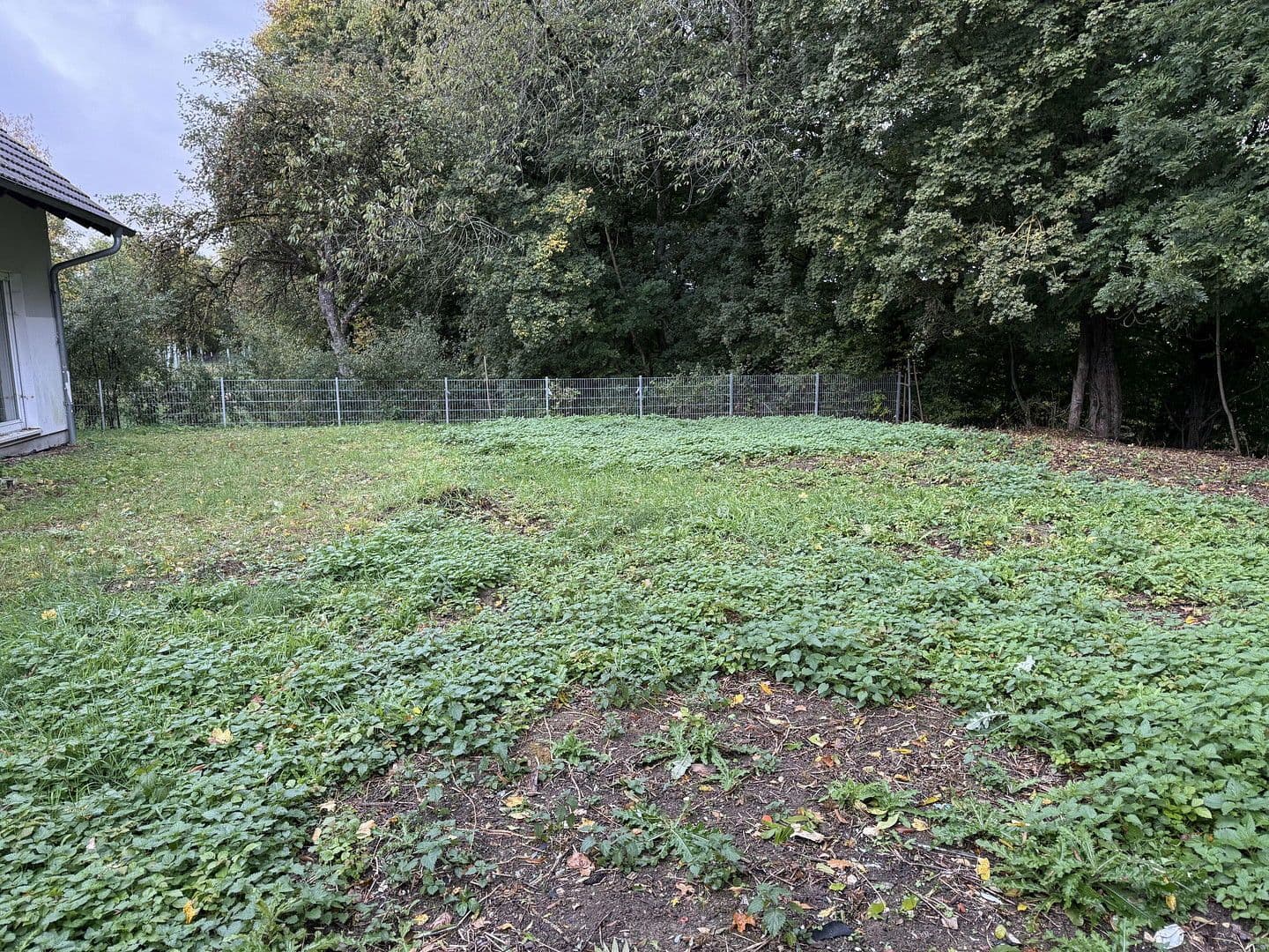 Prodej domu 150 m², pozemek 730 m², Schechingen, Bádensko-Württembersko Prodej domu 150 m², pozemek 730 m², Schechingen, Bádensko-Württembersko