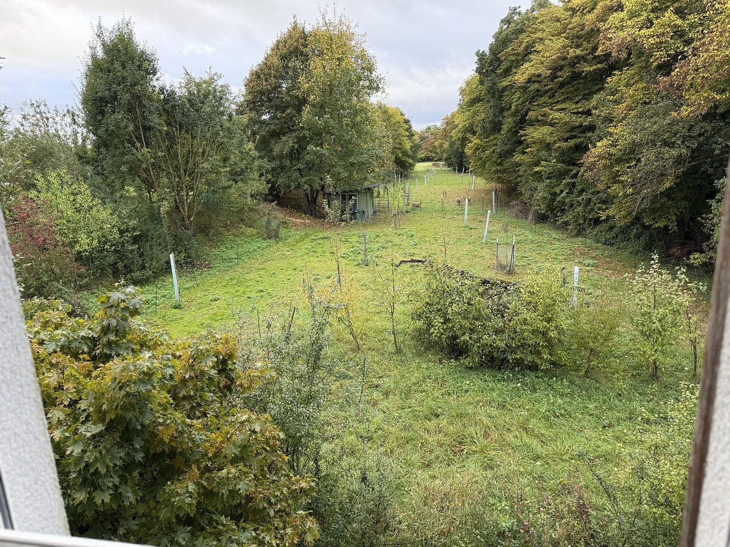 Prodej domu 150 m², pozemek 730 m², Schechingen, Bádensko-Württembersko Prodej domu 150 m², pozemek 730 m², Schechingen, Bádensko-Württembersko