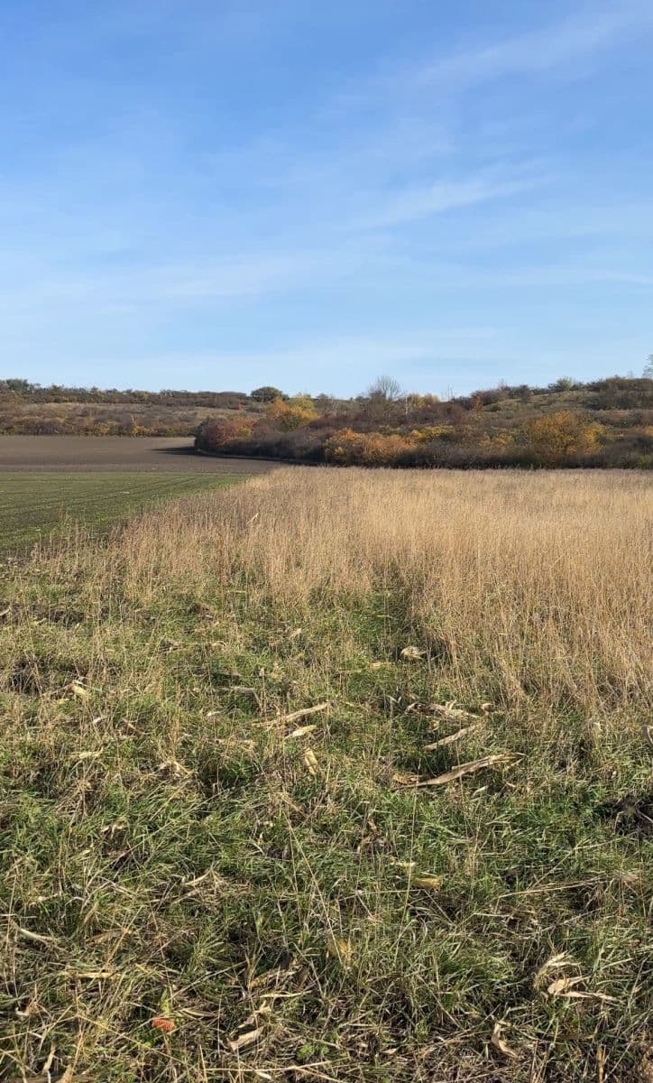 Prodej pozemku 2.534 m², Nedomice, Středočeský kraj Prodej pozemku 2.534 m², Nedomice, Středočeský kraj