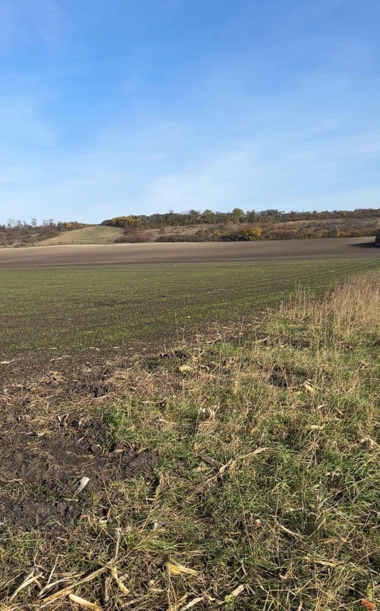 Prodej pozemku 2.534 m², Nedomice, Středočeský kraj Prodej pozemku 2.534 m², Nedomice, Středočeský kraj