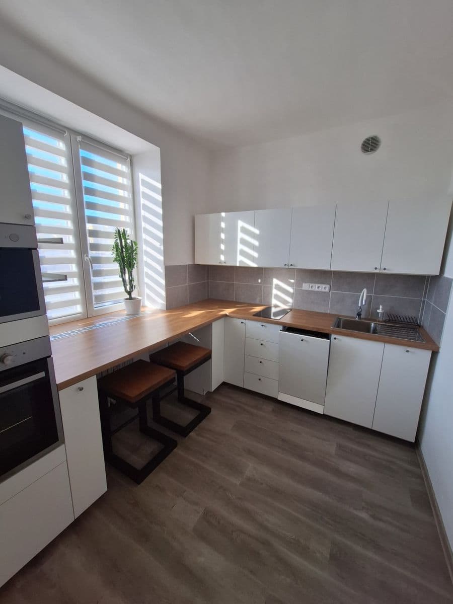 Pronájem bytu 1+1 40 m², Zámecký okruh, Opava, Moravskoslezský kraj Pronájem bytu 1+1 40 m², Zámecký okruh, Opava, Moravskoslezský kraj