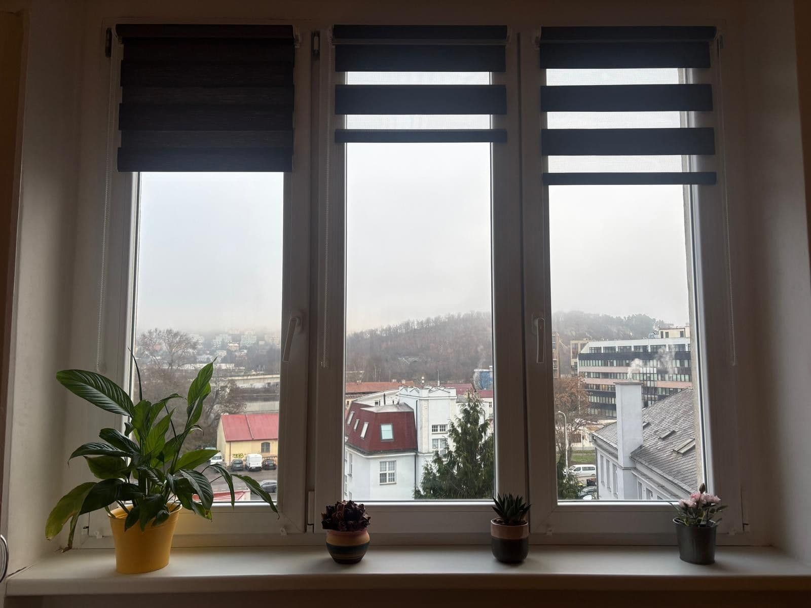 Pronájem bytu 1+kk 32 m², Ortenovo náměstí, Praha, Praha Pronájem bytu 1+kk 32 m², Ortenovo náměstí, Praha, Praha