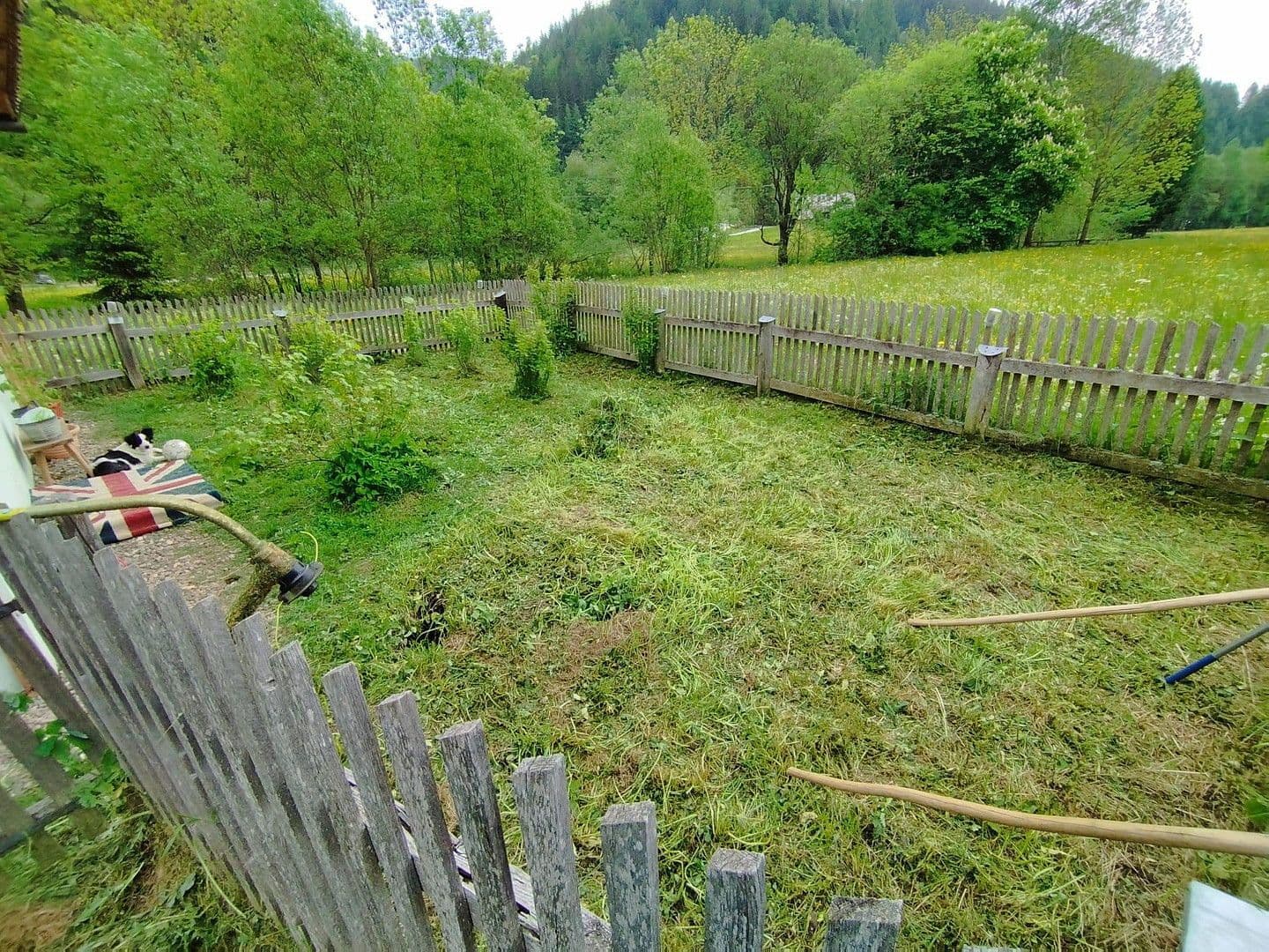 Prodej domu 55 m², pozemek 4.789 m², Schwarzviertel 20, Möderbrugg, Štýrsko Prodej domu 55 m², pozemek 4.789 m², Schwarzviertel 20, Möderbrugg, Štýrsko