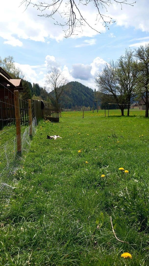 Prodej domu 55 m², pozemek 4.789 m², Schwarzviertel 20, Möderbrugg, Štýrsko Prodej domu 55 m², pozemek 4.789 m², Schwarzviertel 20, Möderbrugg, Štýrsko