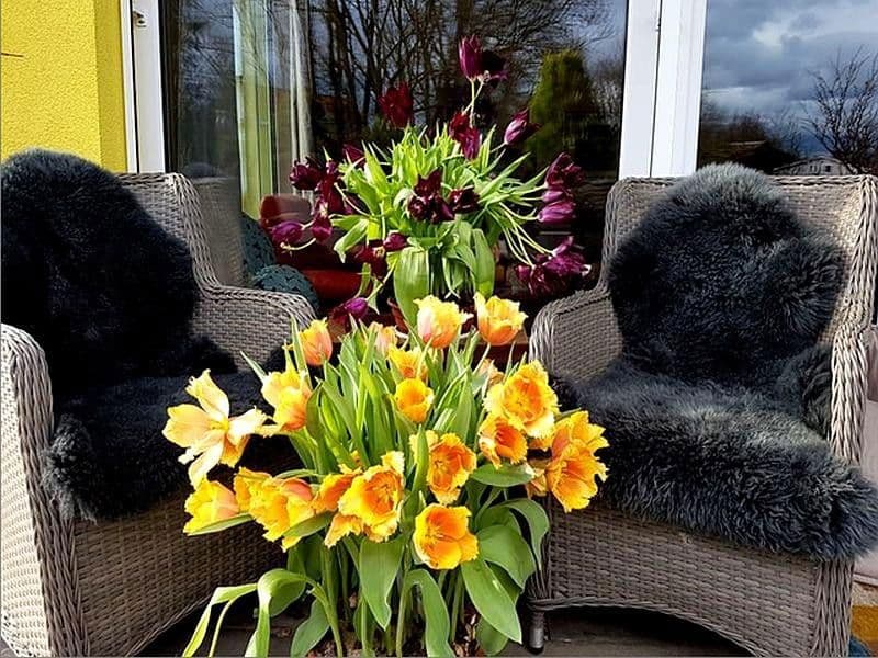 Prodej bytu 3+1 130 m², Österreich, Salzburg, Salcbursko Prodej bytu 3+1 130 m², Österreich, Salzburg, Salcbursko