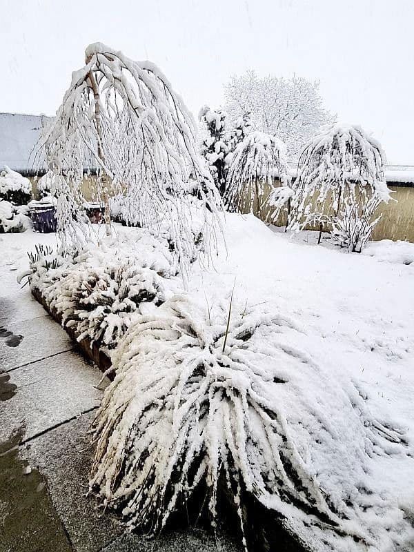 Prodej bytu 3+1 130 m², Österreich, Salzburg, Salcbursko Prodej bytu 3+1 130 m², Österreich, Salzburg, Salcbursko