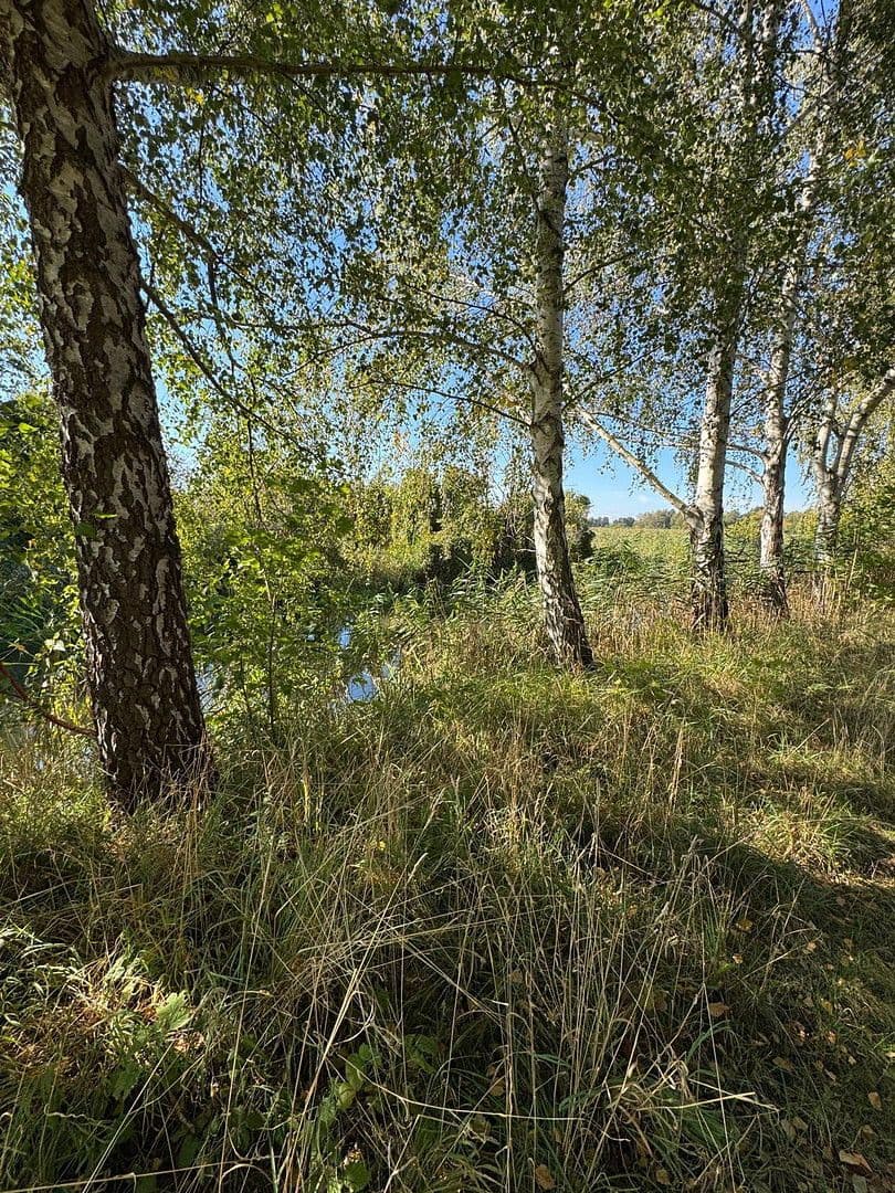 Prodej domu 800 m², pozemek 1.500 m², Neuhardenberg, Braniborsko Prodej domu 800 m², pozemek 1.500 m², Neuhardenberg, Braniborsko