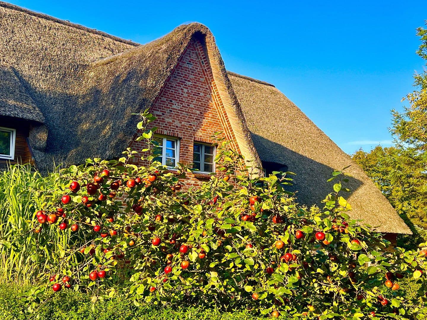 Prodej domu 105 m², pozemek 400 m², Bövergeest 28, Sankt Peter-Ording, Šlesvicko-Holštýnsko Prodej domu 105 m², pozemek 400 m², Bövergeest 28, Sankt Peter-Ording, Šlesvicko-Holštýnsko