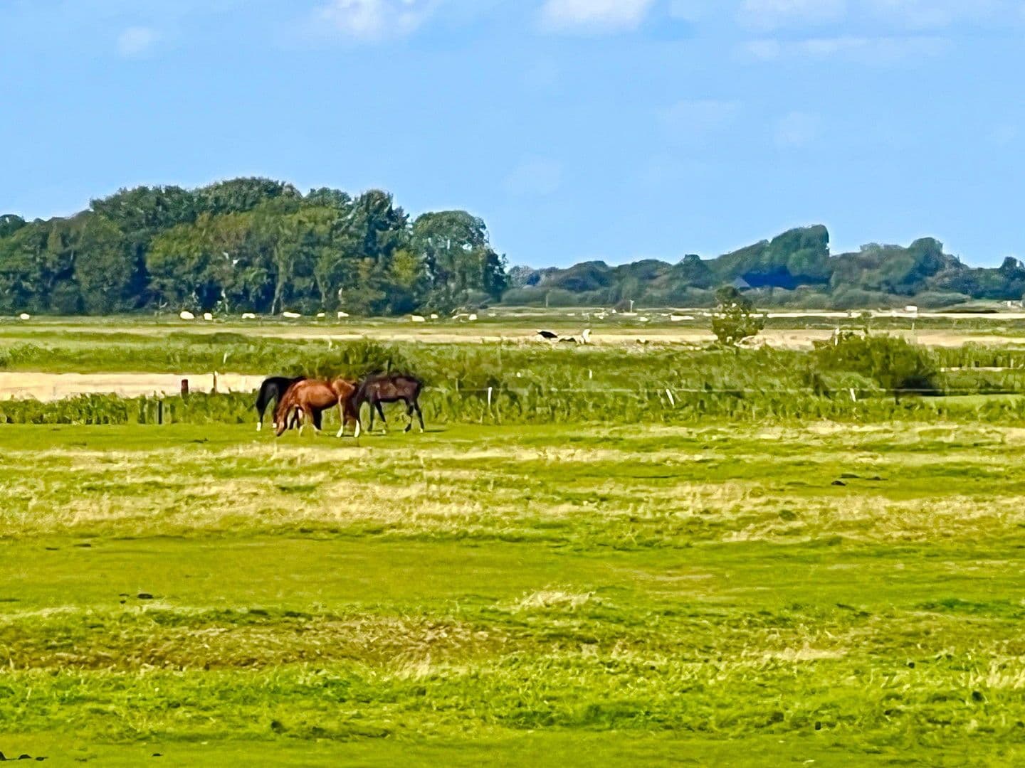 Prodej domu 105 m², pozemek 400 m², Bövergeest 28, Sankt Peter-Ording, Šlesvicko-Holštýnsko Prodej domu 105 m², pozemek 400 m², Bövergeest 28, Sankt Peter-Ording, Šlesvicko-Holštýnsko