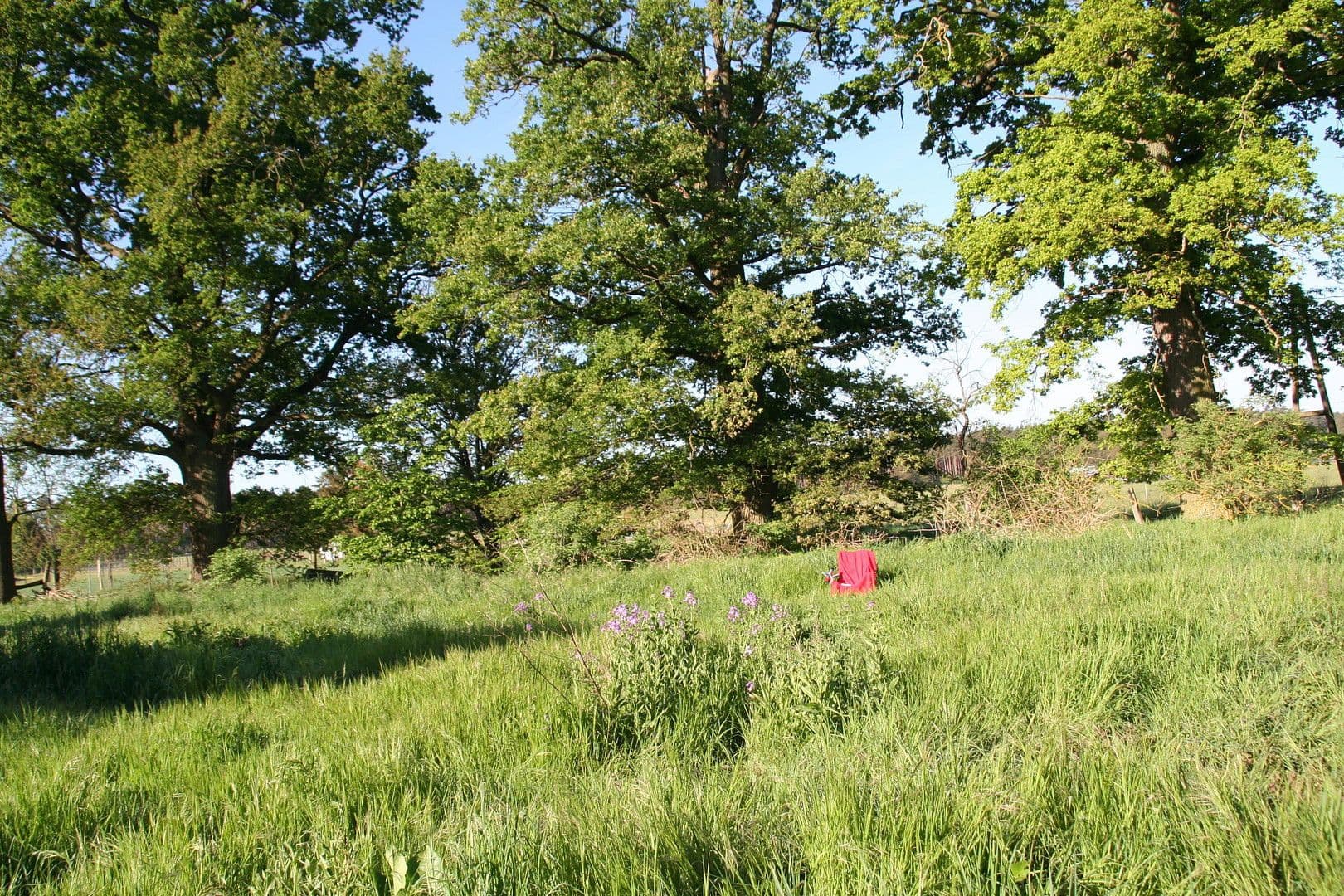 Prodej domu 450 m², pozemek 5.530 m², Grabow, Mecklenburg-Vorpommern Prodej domu 450 m², pozemek 5.530 m², Grabow, Mecklenburg-Vorpommern