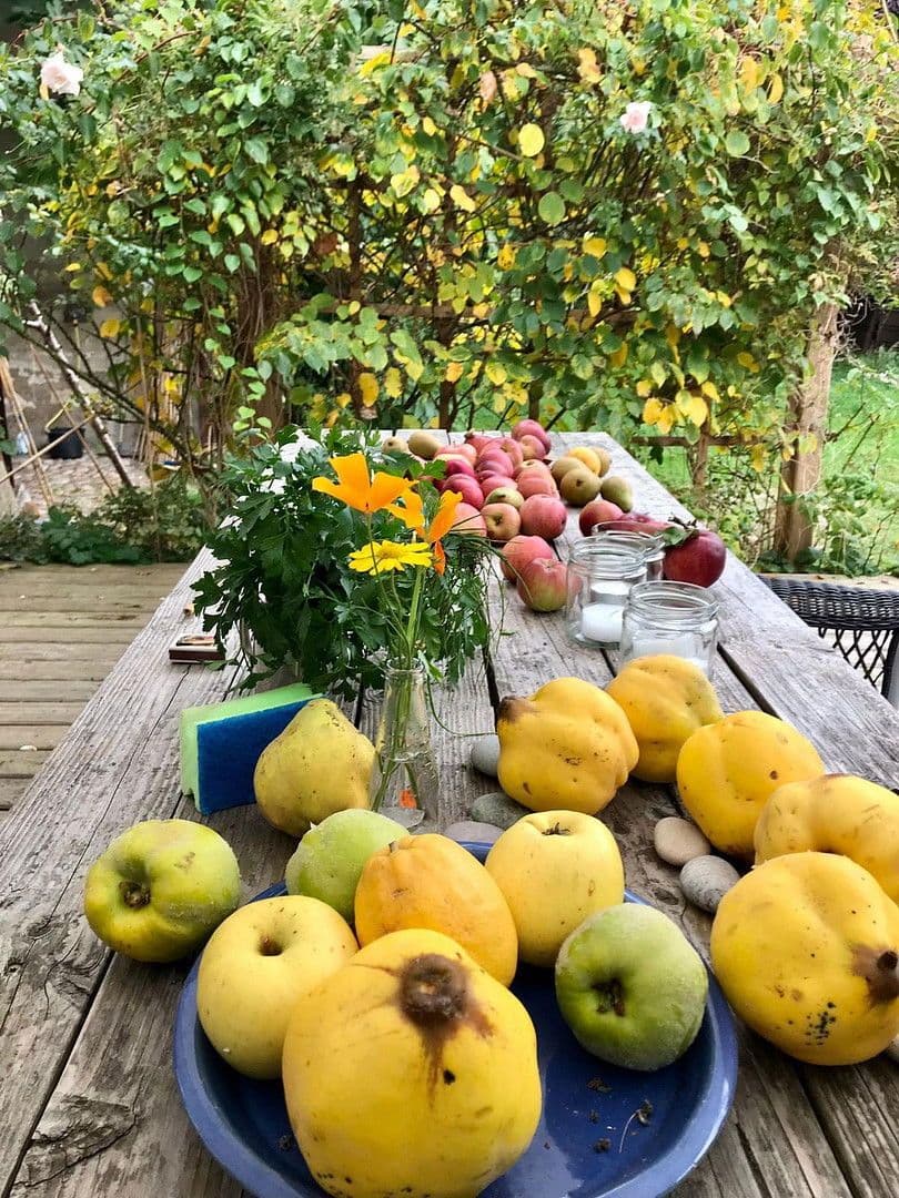 Prodej domu 450 m², pozemek 5.530 m², Grabow, Mecklenburg-Vorpommern Prodej domu 450 m², pozemek 5.530 m², Grabow, Mecklenburg-Vorpommern