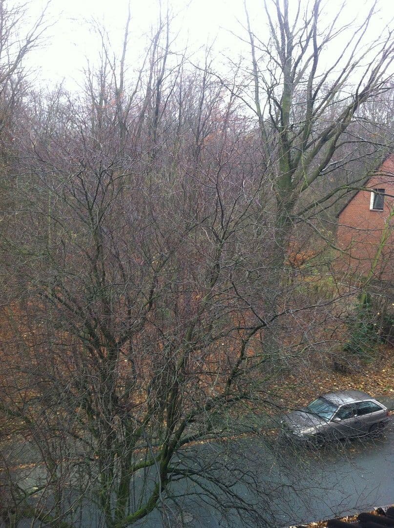 Pronájem bytu 3+1 90 m², Essen, Severní Porýní-Vestfálsko Pronájem bytu 3+1 90 m², Essen, Severní Porýní-Vestfálsko