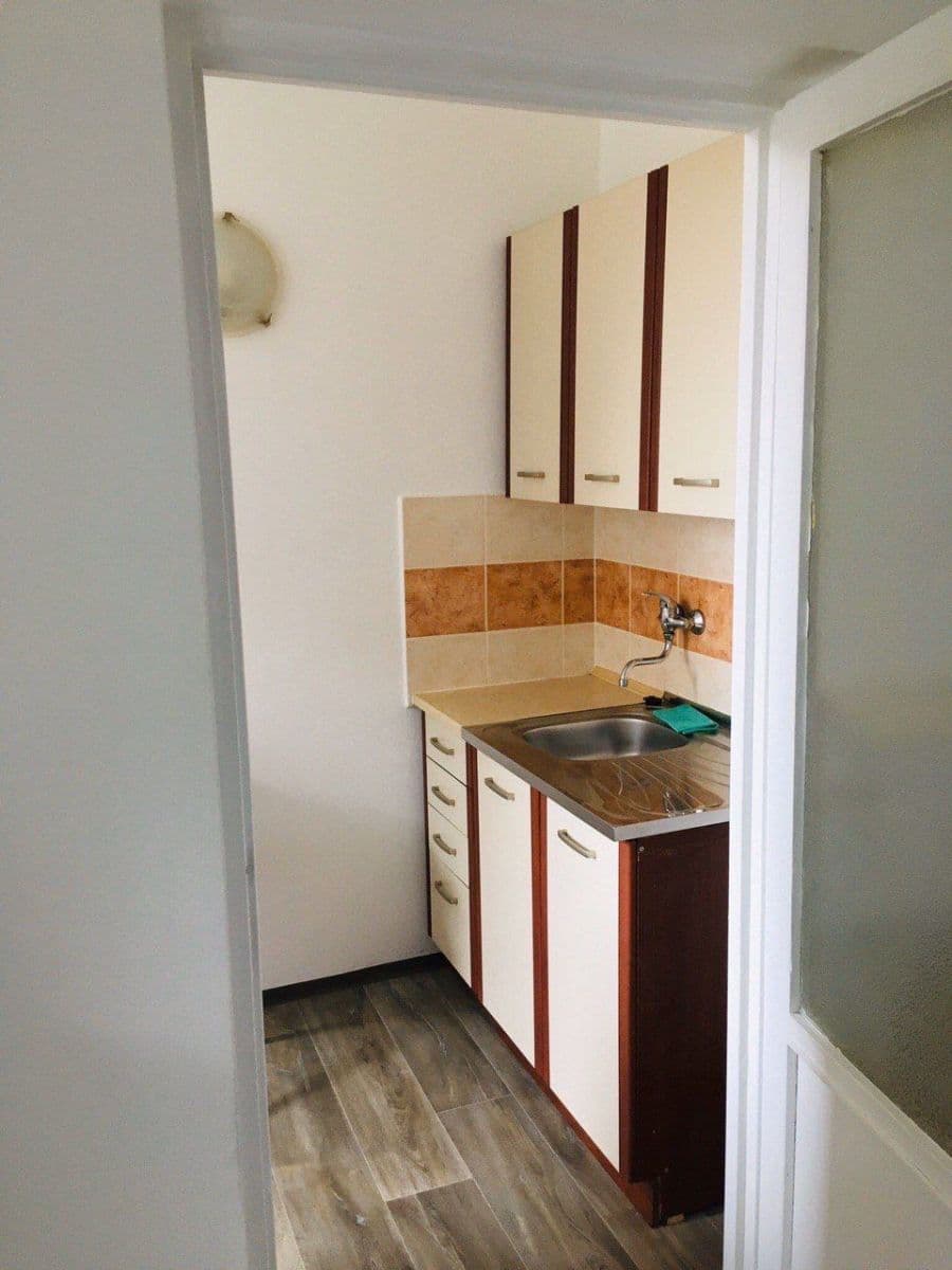 Pronájem bytu 1+kk 32 m², Halasovo náměstí, Brno, Jihomoravský kraj Pronájem bytu 1+kk 32 m², Halasovo náměstí, Brno, Jihomoravský kraj