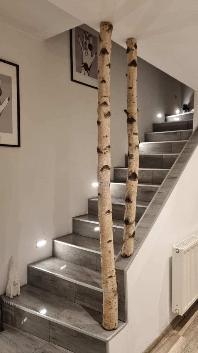 Prodej domu 110 m², pozemek 300 m², Letohrad, Pardubický kraj Prodej domu 110 m², pozemek 300 m², Letohrad, Pardubický kraj