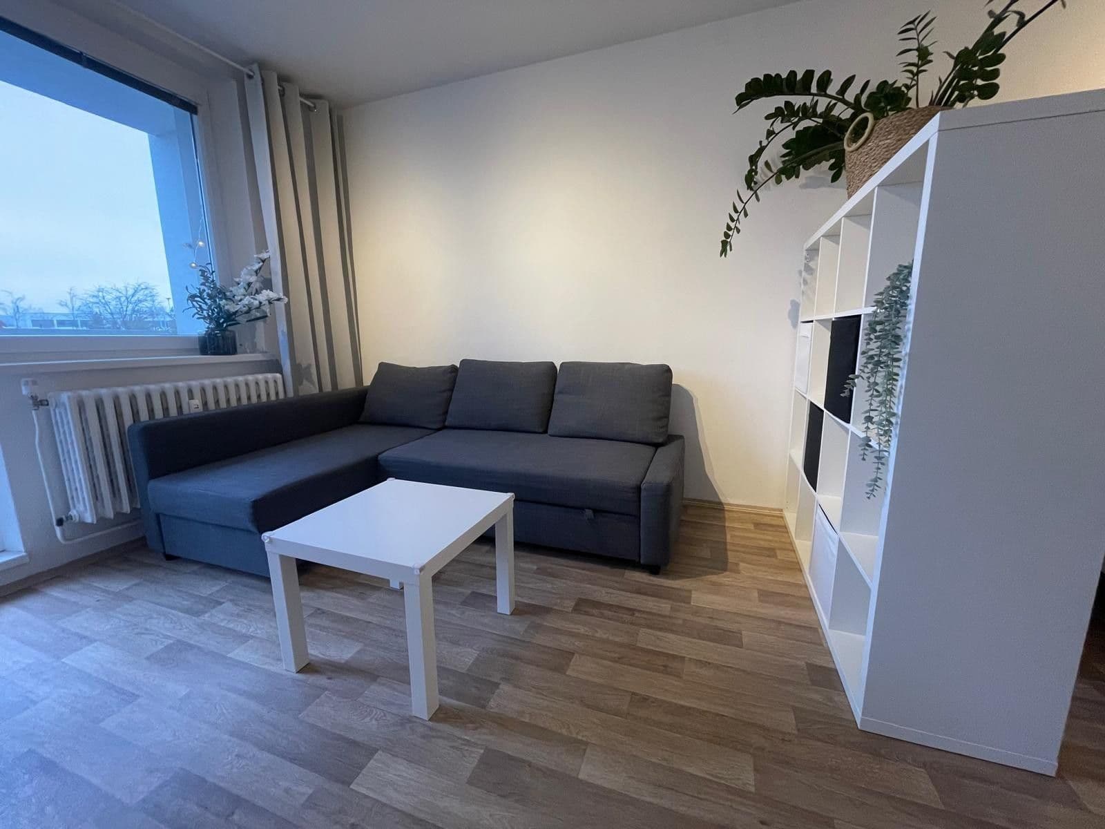 Pronájem bytu 1+1 40 m², Teyschlova, Brno, Jihomoravský kraj Pronájem bytu 1+1 40 m², Teyschlova, Brno, Jihomoravský kraj