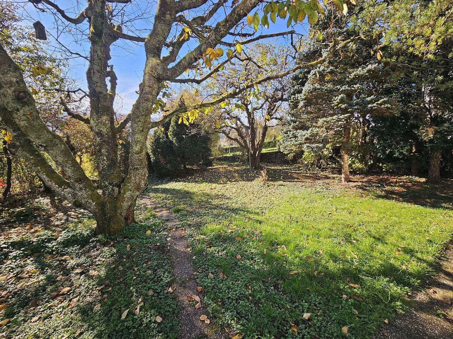 Prodej domu 112 m², pozemek 692 m², Plüderhausen, Bádensko-Württembersko Prodej domu 112 m², pozemek 692 m², Plüderhausen, Bádensko-Württembersko