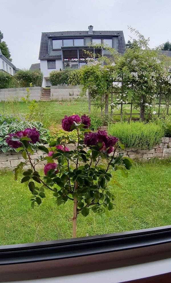 Prodej domu 90 m², pozemek 401 m², Jagdhausweg 12, Wuppertal, Severní Porýní-Vestfálsko Prodej domu 90 m², pozemek 401 m², Jagdhausweg 12, Wuppertal, Severní Porýní-Vestfálsko