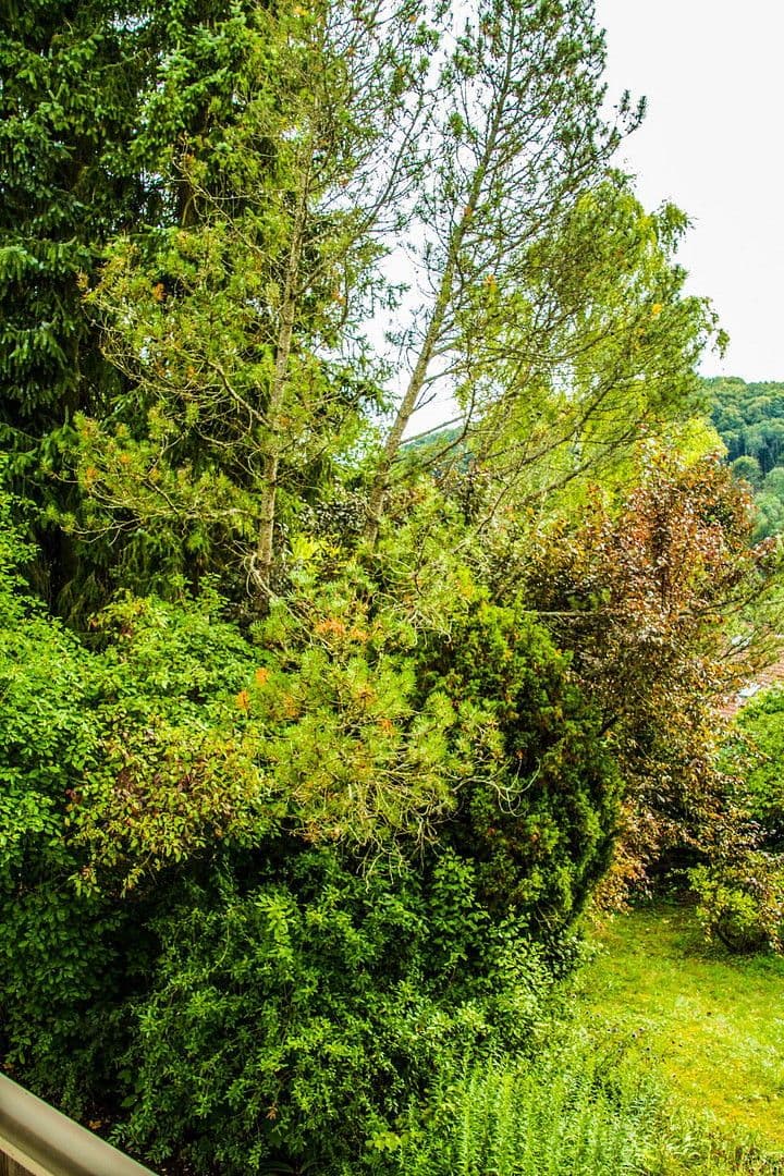 Prodej domu 302 m², pozemek 1.180 m², Nittendorf, Bavorsko Prodej domu 302 m², pozemek 1.180 m², Nittendorf, Bavorsko