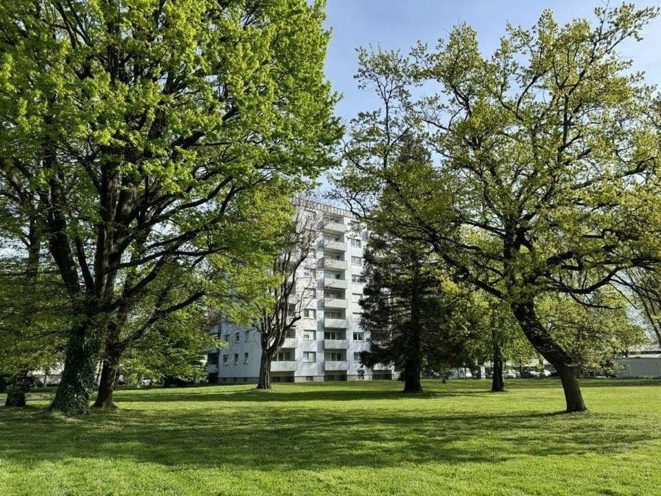 Prodej bytu 2+1 45 m², Pappelweg 3, Offenburg, Bádensko-Württembersko Prodej bytu 2+1 45 m², Pappelweg 3, Offenburg, Bádensko-Württembersko