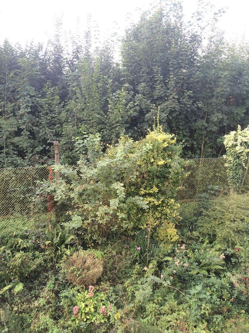 Pronájem bytu 1+1 45 m², Wuppertal, Severní Porýní-Vestfálsko Pronájem bytu 1+1 45 m², Wuppertal, Severní Porýní-Vestfálsko