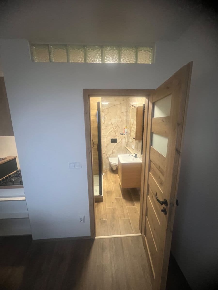 Pronájem bytu 1+1 48 m², Foerstrova, Olomouc, Olomoucký kraj Pronájem bytu 1+1 48 m², Foerstrova, Olomouc, Olomoucký kraj