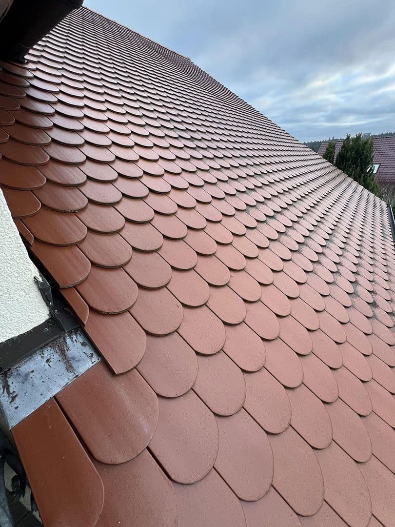 Prodej domu 227 m², pozemek 978 m², Fichtenau, Bádensko-Württembersko Prodej domu 227 m², pozemek 978 m², Fichtenau, Bádensko-Württembersko