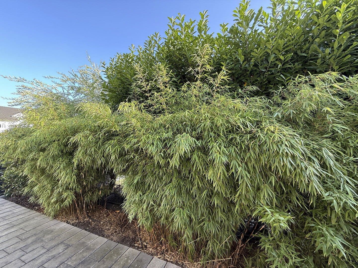 Prodej domu 220 m², pozemek 498 m², Kelsterbach, Hessen Prodej domu 220 m², pozemek 498 m², Kelsterbach, Hessen