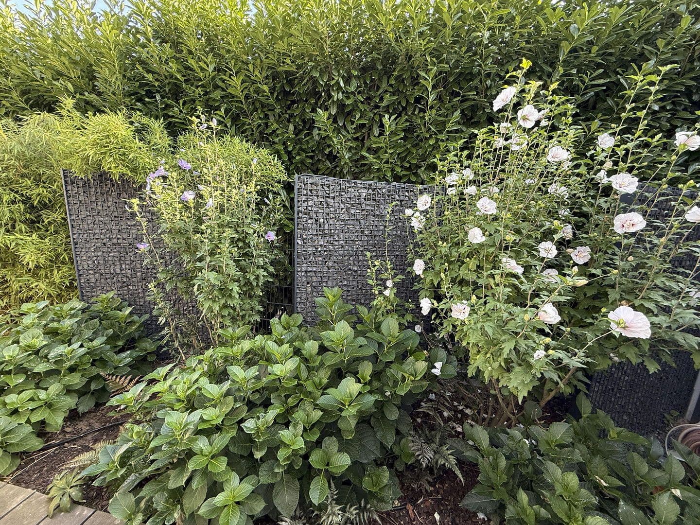 Prodej domu 220 m², pozemek 498 m², Kelsterbach, Hessen Prodej domu 220 m², pozemek 498 m², Kelsterbach, Hessen