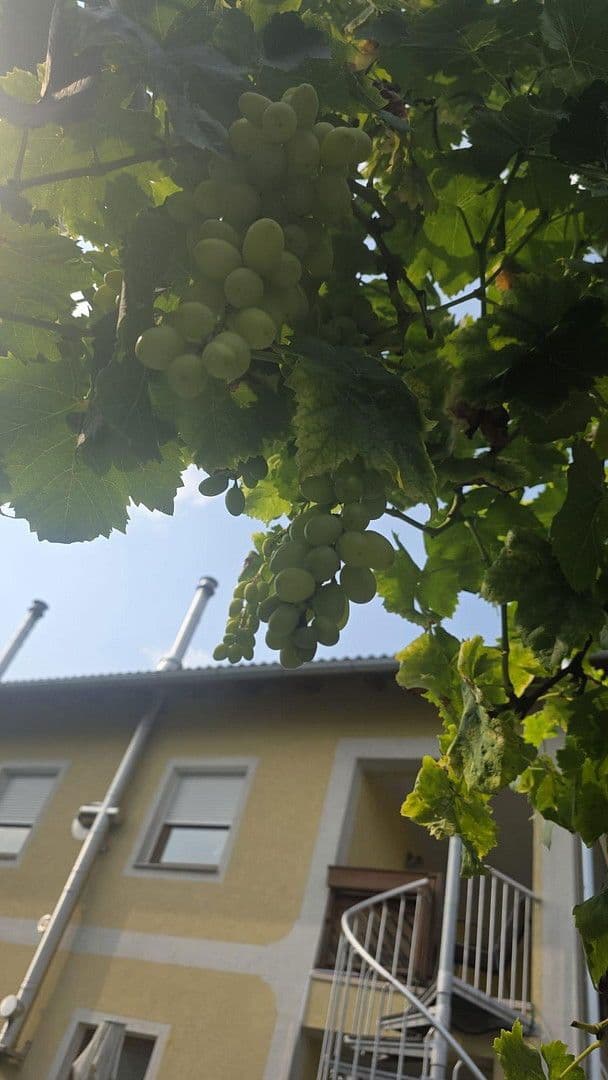 Prodej domu 202 m², pozemek 341 m², Pregarten, Horní Rakousko Prodej domu 202 m², pozemek 341 m², Pregarten, Horní Rakousko