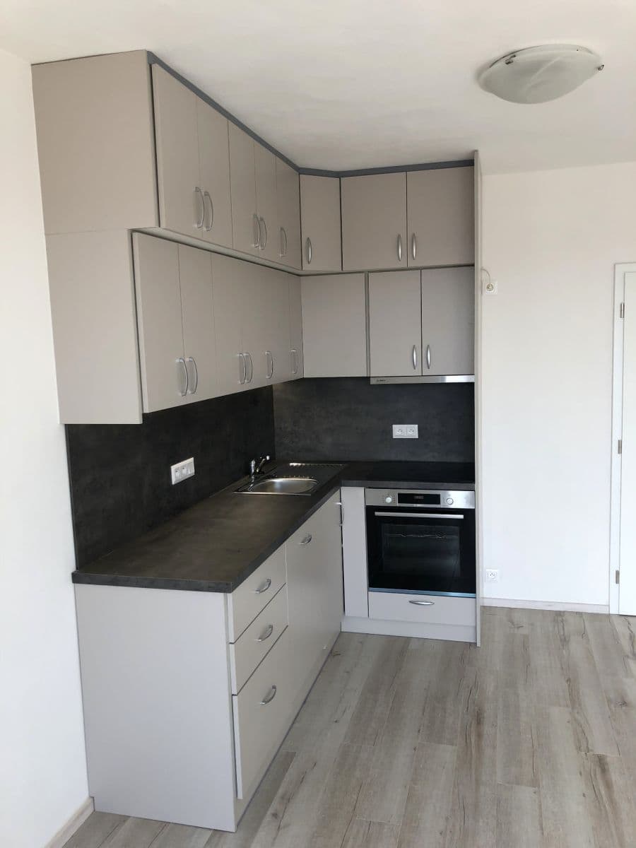 Pronájem bytu 1+kk 39 m², Papírnická, Plzeň, Plzeňský kraj Pronájem bytu 1+kk 39 m², Papírnická, Plzeň, Plzeňský kraj