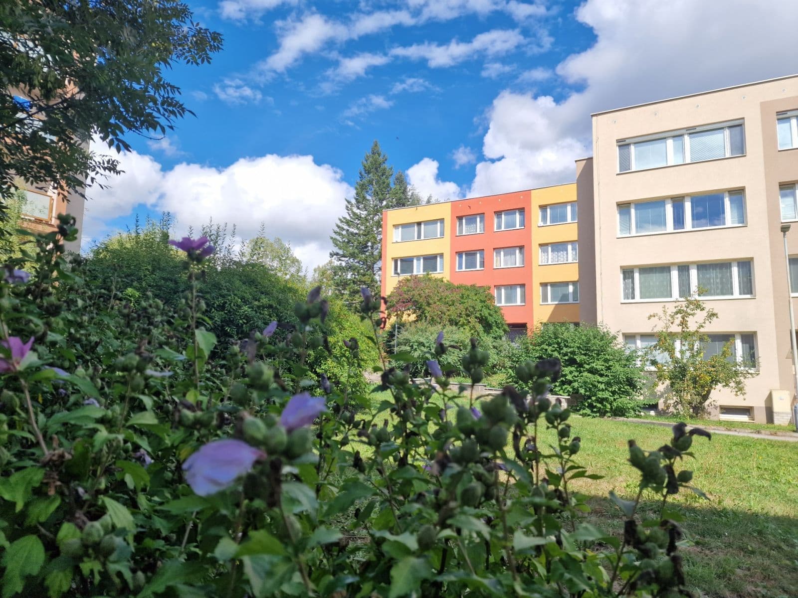 Pronájem bytu 2+1 43 m², Pod Homolkou, Beroun, Středočeský kraj Pronájem bytu 2+1 43 m², Pod Homolkou, Beroun, Středočeský kraj