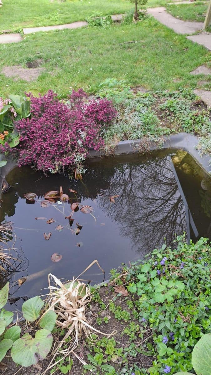 Prodej pozemku 400 m², Teplice, Ústecký kraj Prodej pozemku 400 m², Teplice, Ústecký kraj