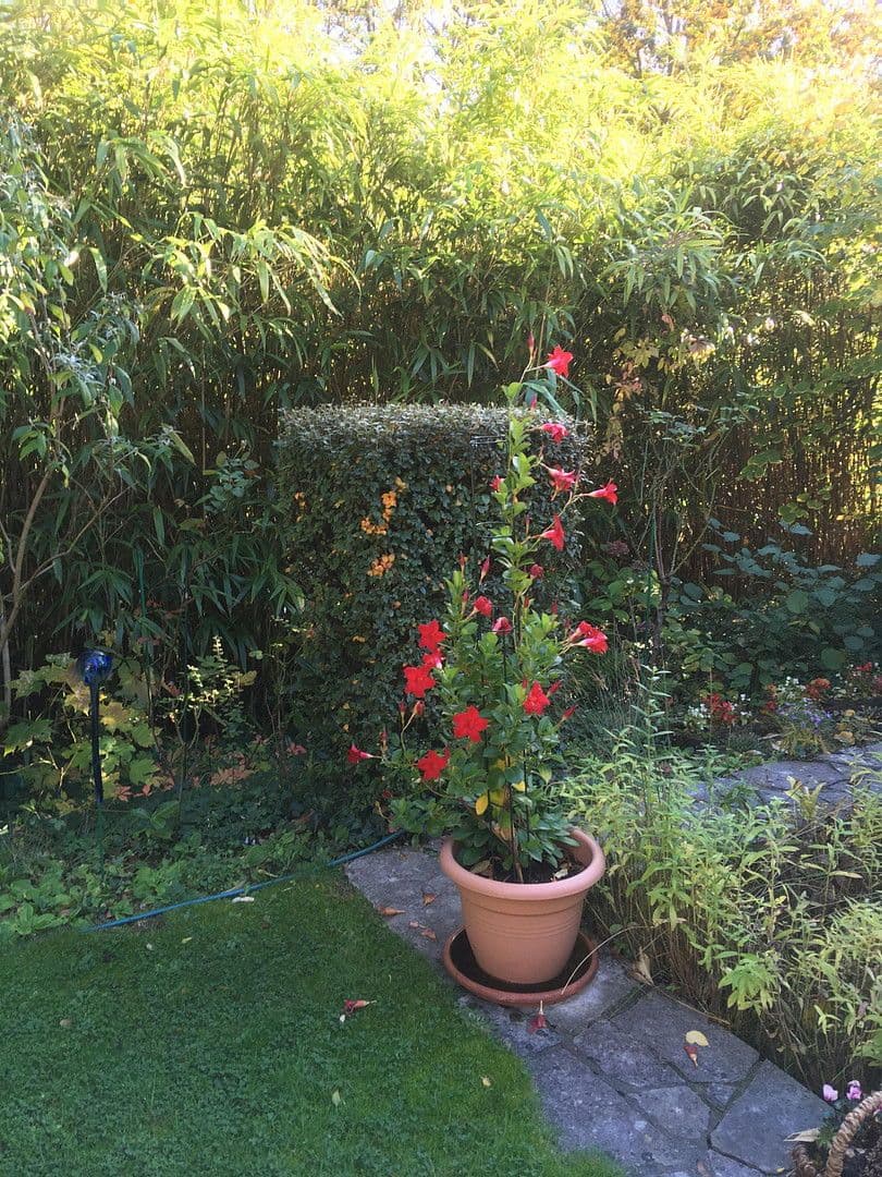 Prodej domu 365 m², pozemek 1.250 m², Saarbrücken, Země Sársko Prodej domu 365 m², pozemek 1.250 m², Saarbrücken, Země Sársko