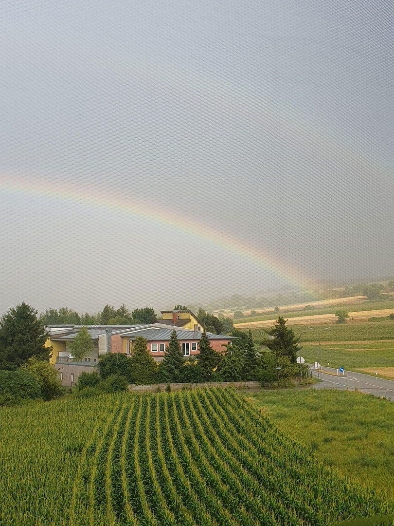 Prodej bytu 4+1 85 m², Freundorf, Dolní Rakousko Prodej bytu 4+1 85 m², Freundorf, Dolní Rakousko