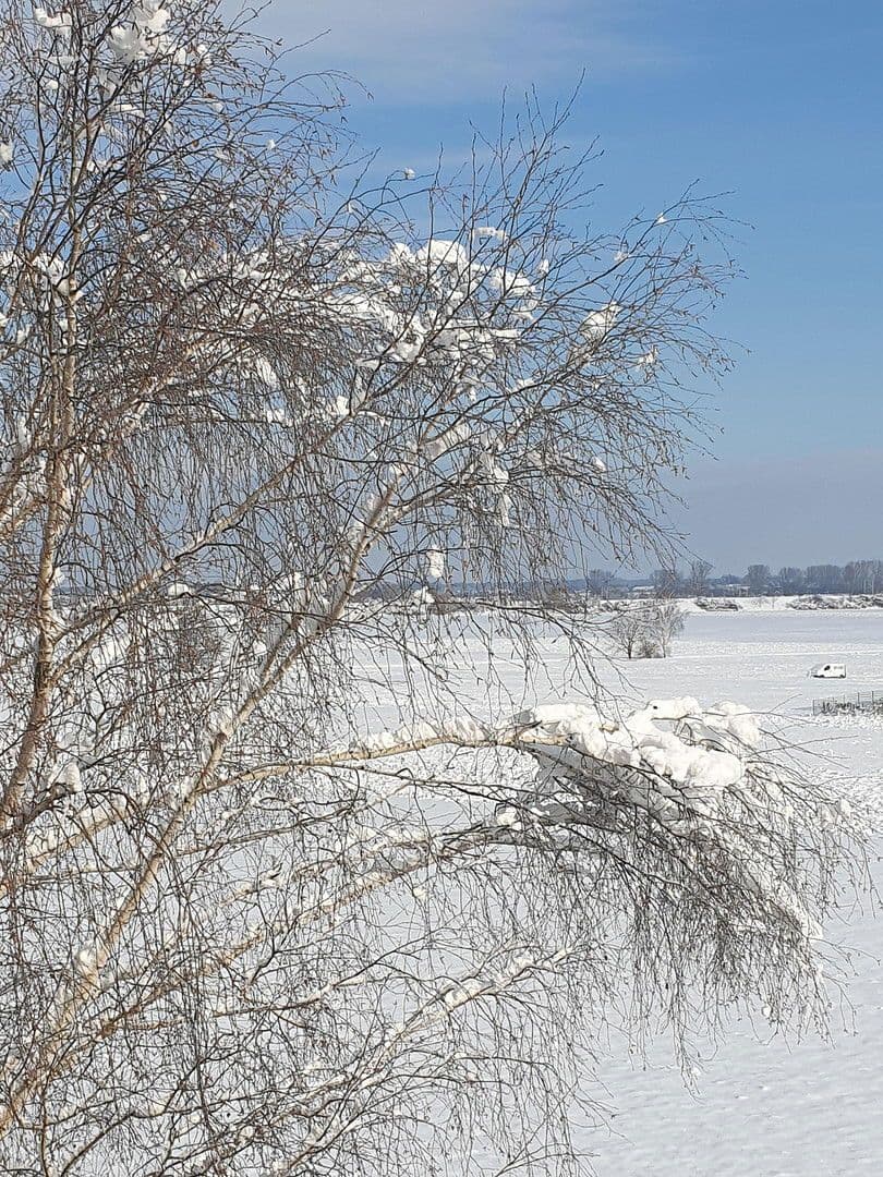 Prodej bytu 4+1 85 m², Freundorf, Dolní Rakousko Prodej bytu 4+1 85 m², Freundorf, Dolní Rakousko