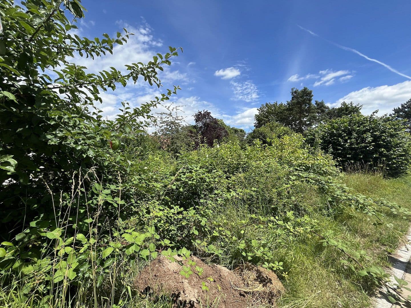 Prodej pozemku 918 m², Pfofeld, Bavorsko Prodej pozemku 918 m², Pfofeld, Bavorsko