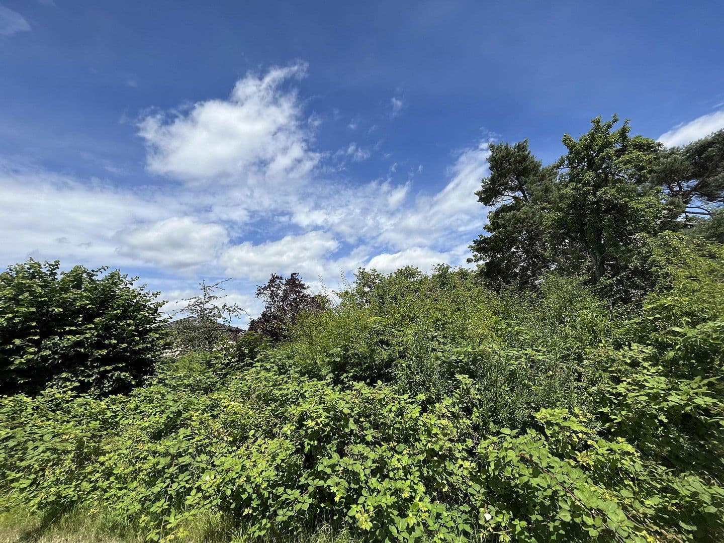 Prodej pozemku 918 m², Pfofeld, Bavorsko Prodej pozemku 918 m², Pfofeld, Bavorsko