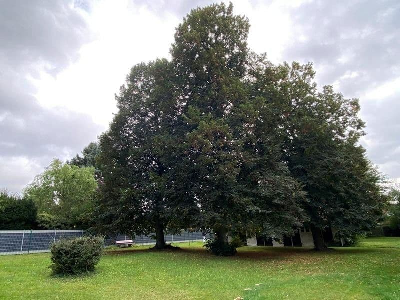 Prodej domu 900 m², pozemek 2.940 m², Weetzer Kirchweg 6, Ronnenberg, Dolní Sasko Prodej domu 900 m², pozemek 2.940 m², Weetzer Kirchweg 6, Ronnenberg, Dolní Sasko