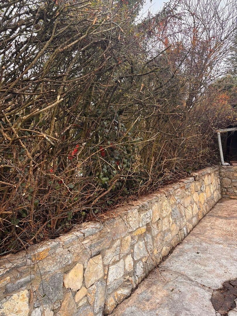 Prodej pozemku 860 m², Würzburg, Bavorsko Prodej pozemku 860 m², Würzburg, Bavorsko