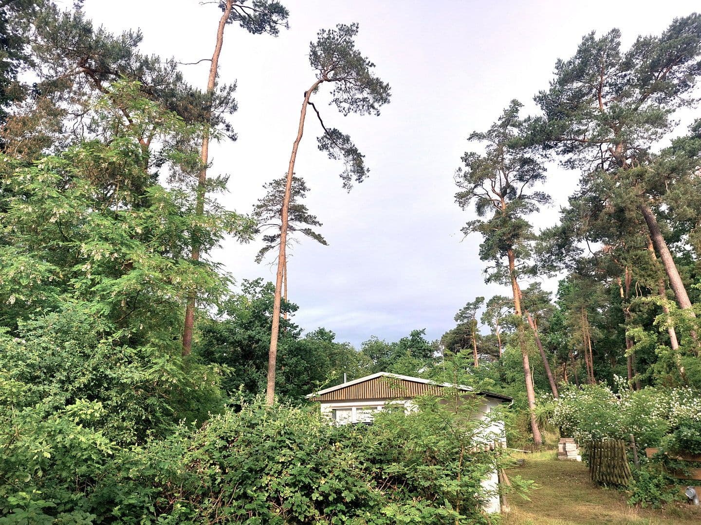 Prodej pozemku 6.217 m², Rathenow, Braniborsko Prodej pozemku 6.217 m², Rathenow, Braniborsko