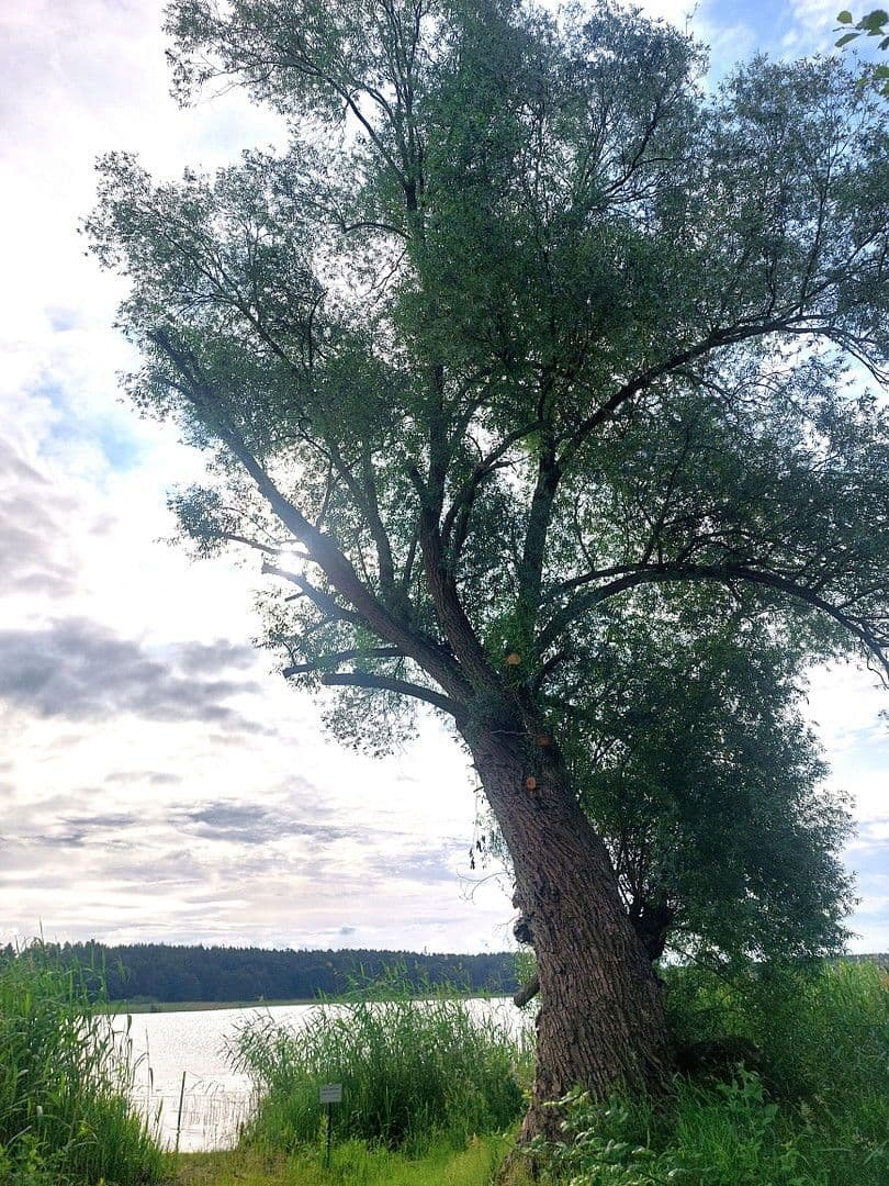 Prodej pozemku 6.217 m², Rathenow, Braniborsko Prodej pozemku 6.217 m², Rathenow, Braniborsko