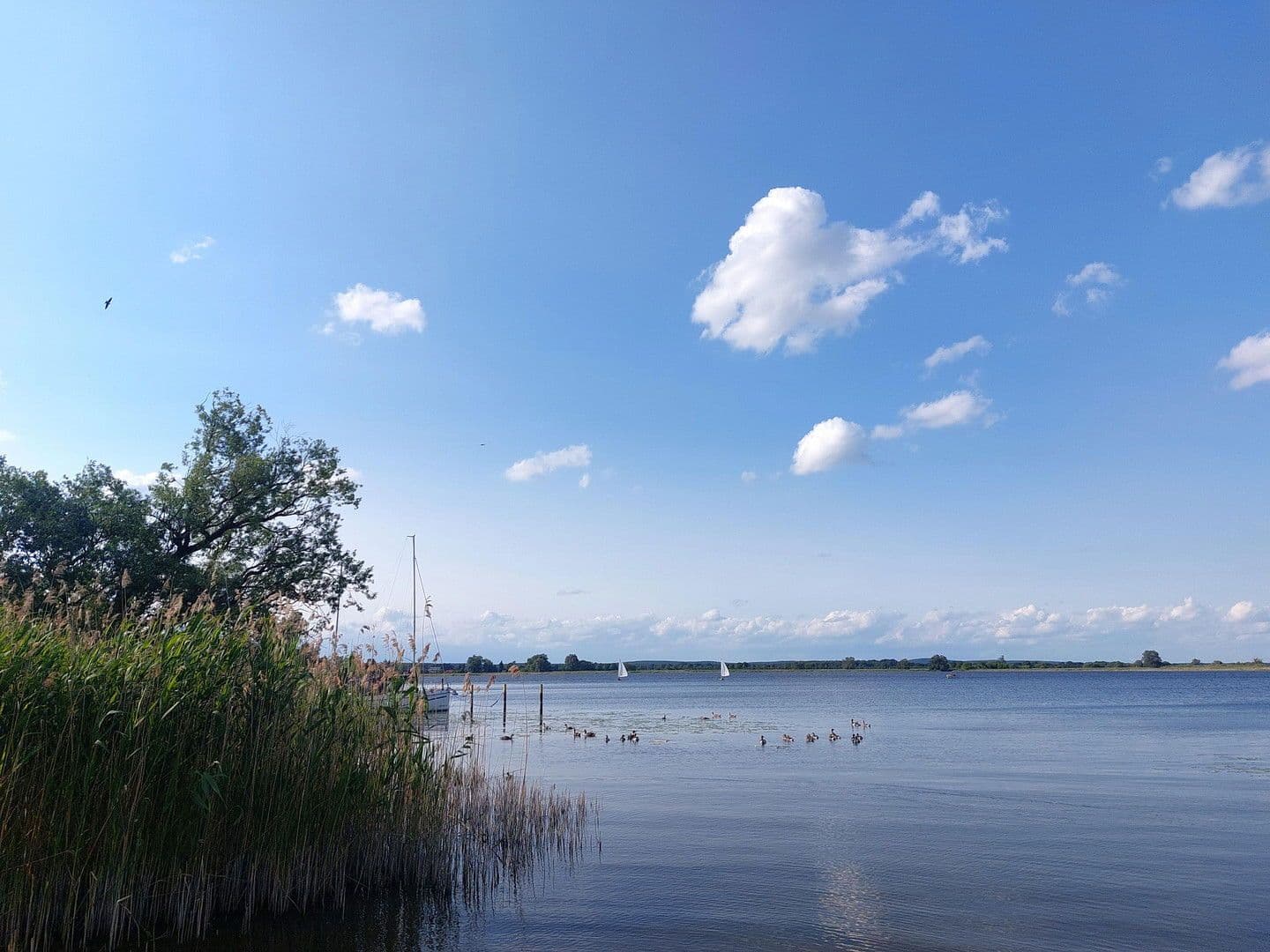 Prodej pozemku 6.217 m², Rathenow, Braniborsko Prodej pozemku 6.217 m², Rathenow, Braniborsko