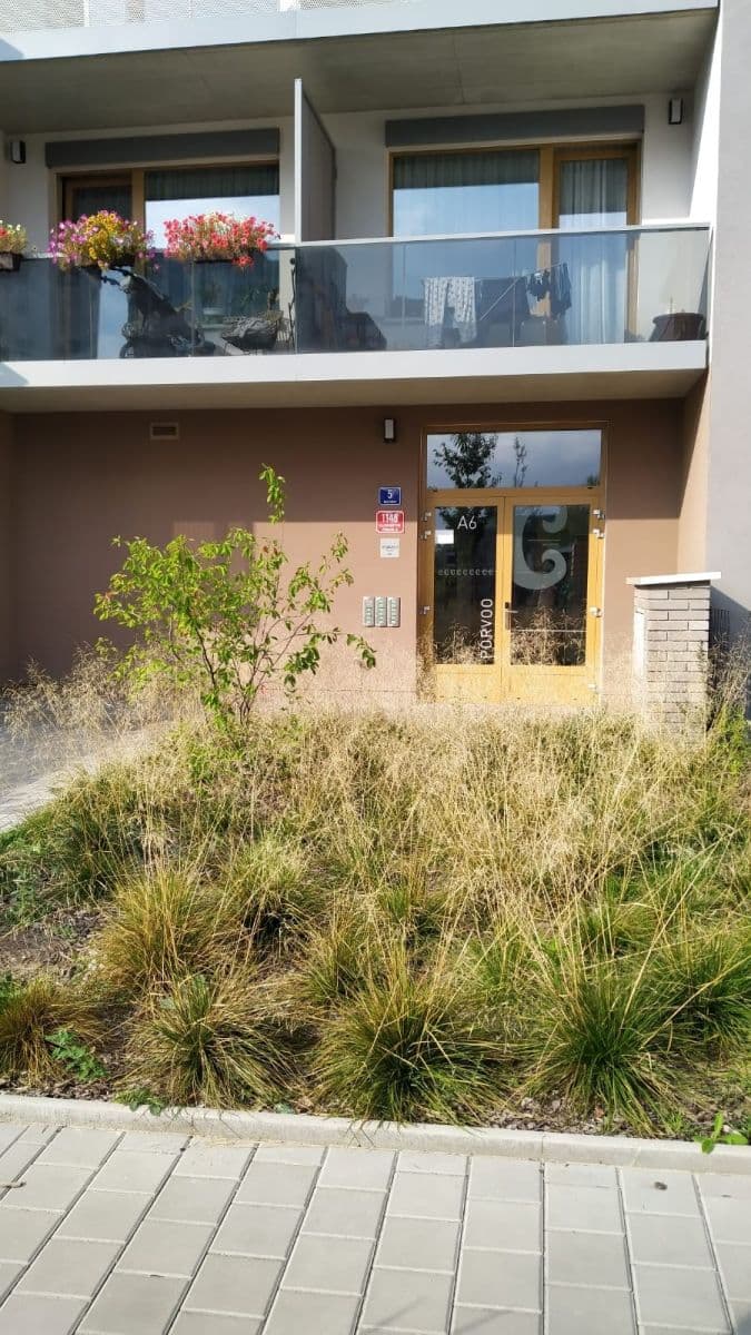 Pronájem bytu 1+kk 34 m², Waltariho, Praha, Praha Pronájem bytu 1+kk 34 m², Waltariho, Praha, Praha