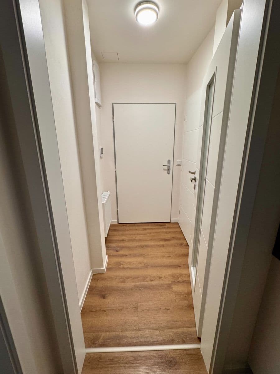 Pronájem bytu 1+1 41 m², Na Mokřině, Praha, Praha Pronájem bytu 1+1 41 m², Na Mokřině, Praha, Praha