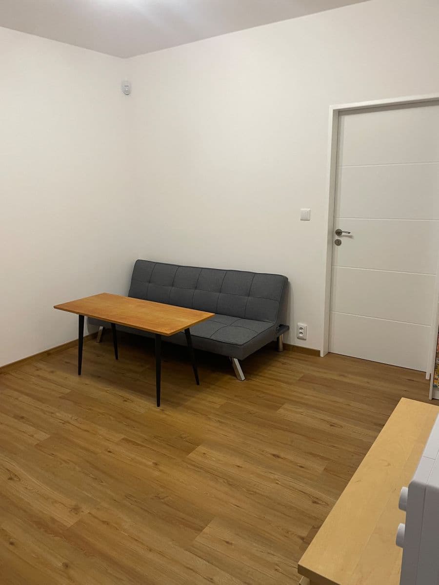 Pronájem bytu 1+kk 21 m², Vycpálkova, Praha, Praha Pronájem bytu 1+kk 21 m², Vycpálkova, Praha, Praha