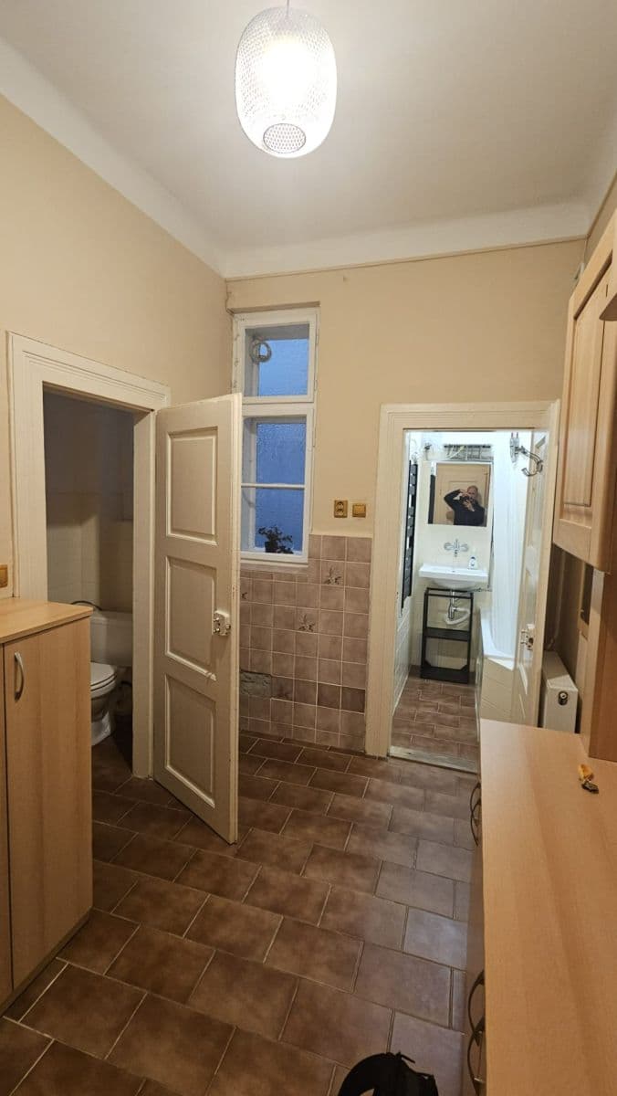 Pronájem bytu 2+kk 51 m², Čechova, Plzeň, Plzeňský kraj Pronájem bytu 2+kk 51 m², Čechova, Plzeň, Plzeňský kraj