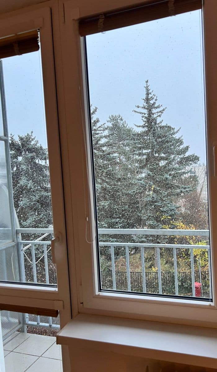 Pronájem bytu 2+1 53 m², Na Míčánce, Praha, Praha Pronájem bytu 2+1 53 m², Na Míčánce, Praha, Praha