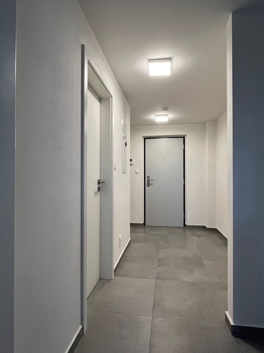 Pronájem bytu 2+kk 55 m², Papírnická, Plzeň, Plzeňský kraj Pronájem bytu 2+kk 55 m², Papírnická, Plzeň, Plzeňský kraj